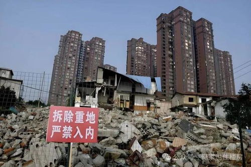 男子繼承無血緣老人北京5套房等全部財產