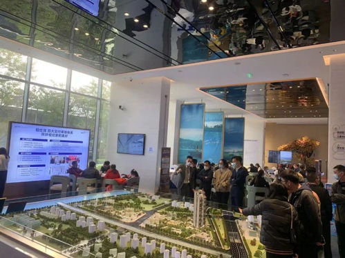 單月64套 走近看看佛山解限后的禪城江景盤(pán)