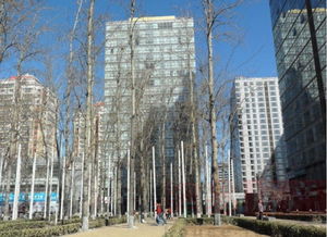 橡樹公館 北京橡樹公館配套實景圖,樣板間,效果圖,戶型圖 北京網易房產